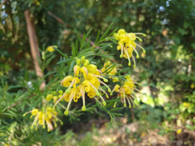 Blog 11